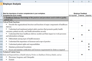 Employer Analysis Worksheet - Example